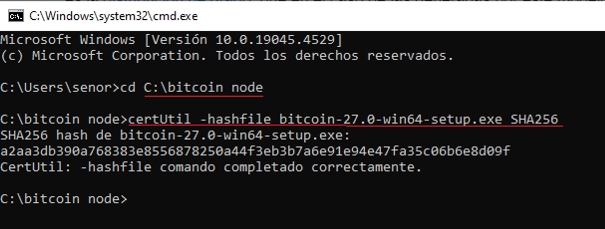 Resultado de certUtil mostrando el hash SHA256