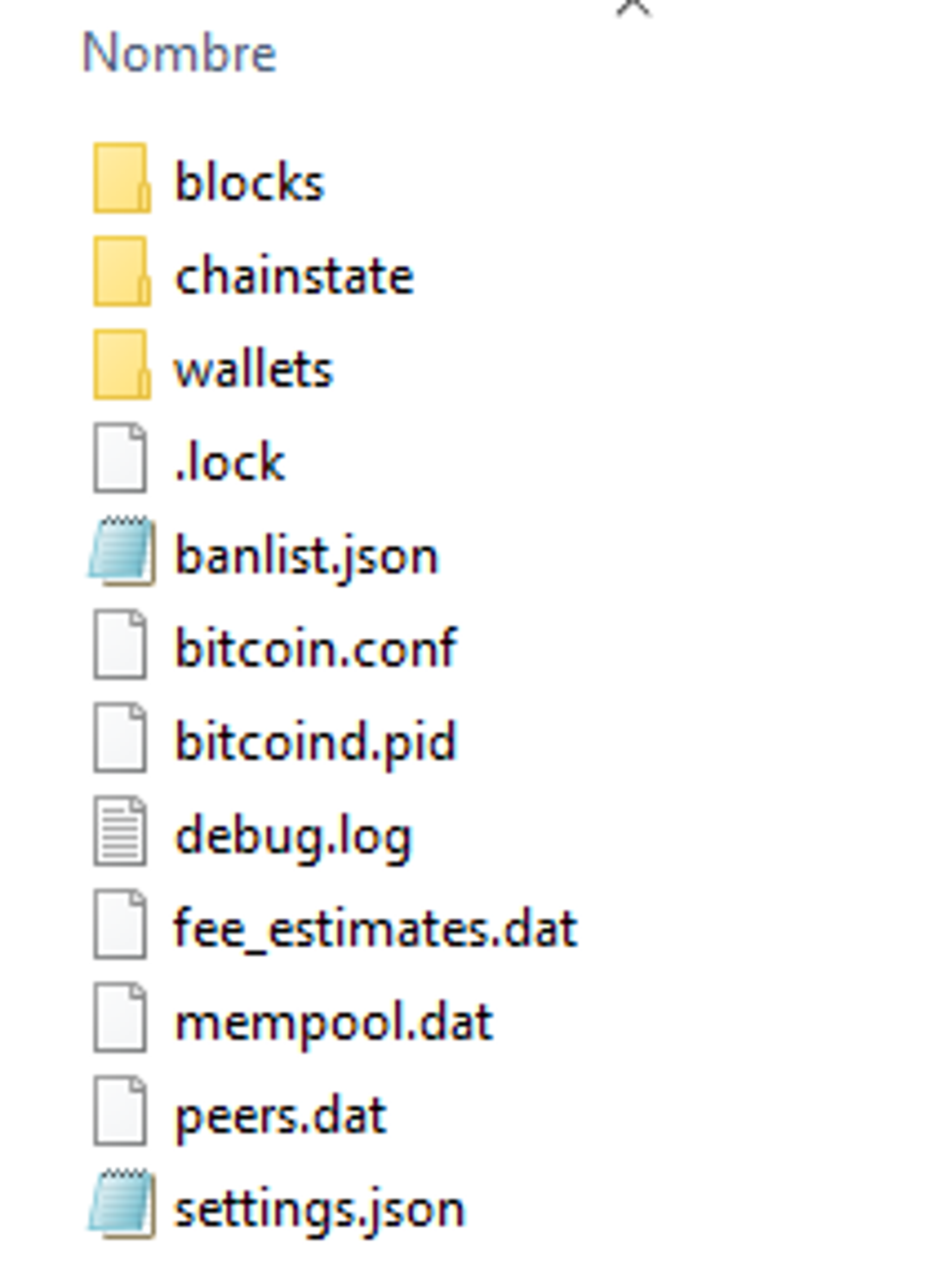 Estructura de directorios de Bitcoin Core en AppData
