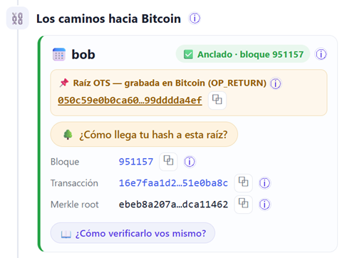 Tarjeta del analizador con un sello anclado: estado Anclado bloque 951157, Raíz OTS, Bloque, Transacción y Merkle root del bloque.